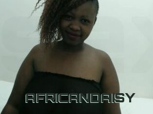 AFRICANDAISY