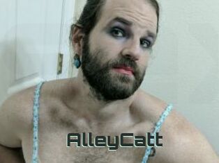 AlleyCatt
