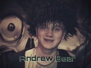 Andrew_Bear