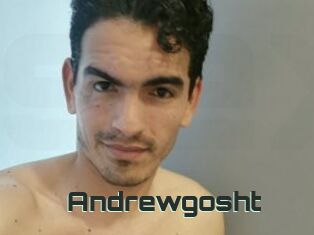 Andrewgosht