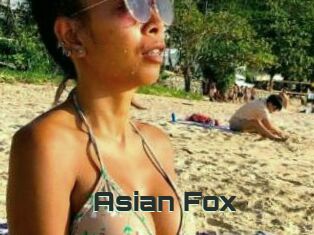 Asian_Fox