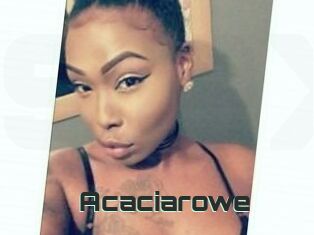 Acacia_rowe