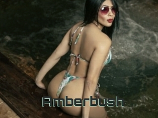Amberbush