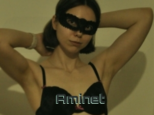 Aminet