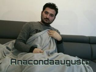 Anacondaaugusto