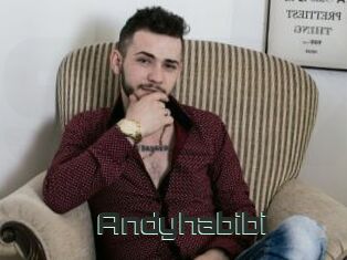 Andyhabibi