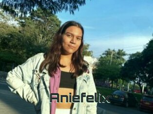 Aniefelix