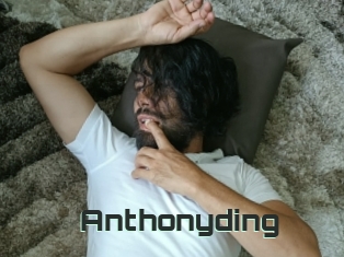 Anthonyding