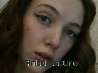 Antoniacure