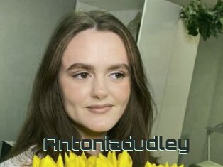 Antoniadudley