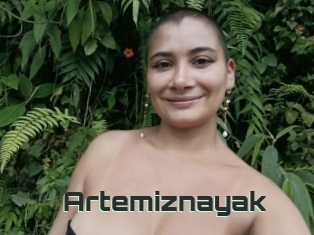 Artemiznayak