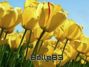 BelleB3