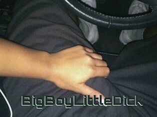 BigBoyLittleDick