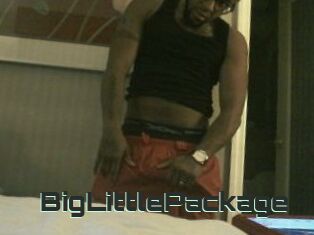 BigLittlePackage