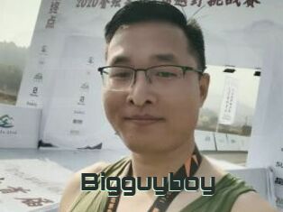 Bigguyboy