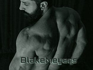 BlakeMeyers