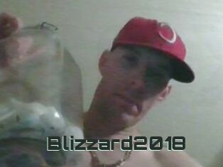 Blizzard2018