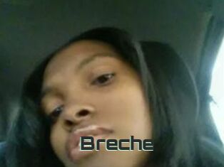 Breche