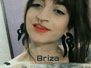 Briza