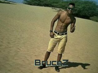 BruceZ