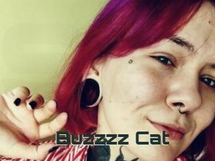 Buzzzz_Cat
