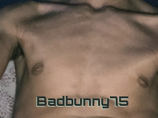 Badbunny75