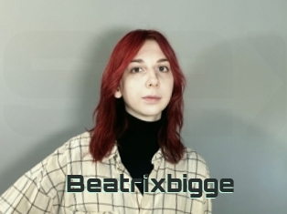 Beatrixbigge