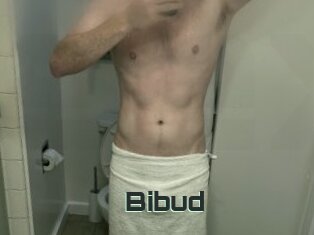 Bibud