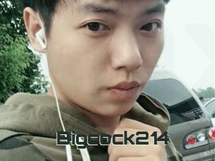 Bigcock214