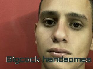 Bigcock_handsomes