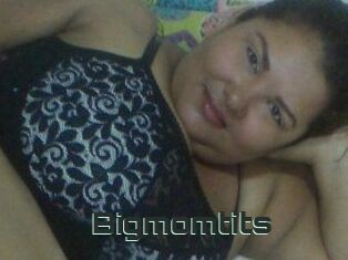 Bigmomtits