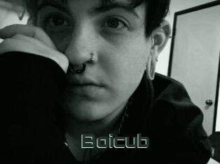 Boicub
