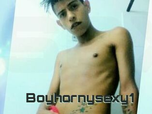 Boyhornysexy1