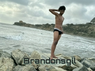 Brandonsgil