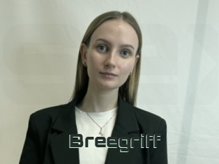 Breegriff