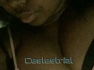 Ceslestrial