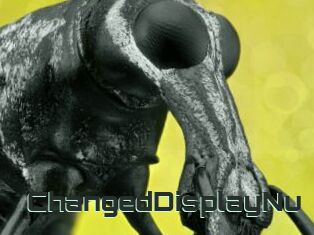 ChangedDisplayNu