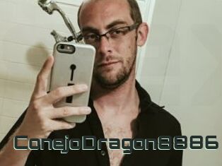 ConejoDragon8886