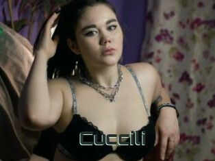 Cuccili