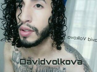 Davidvolkova