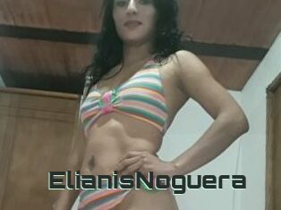 ElianisNoguera