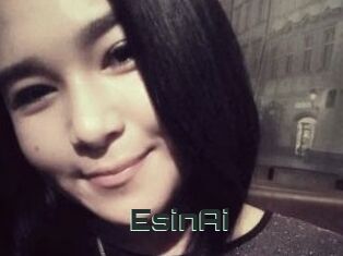 EsinAi