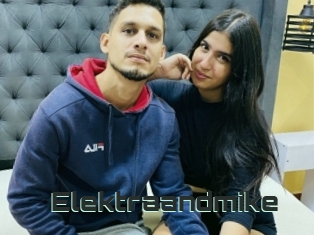 Elektraandmike