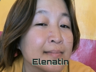 Elenatin