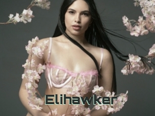 Elihawker