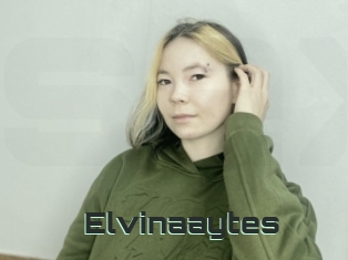 Elvinaaytes