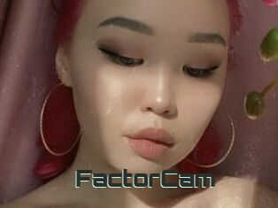 FactorCam
