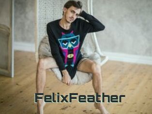 FelixFeather