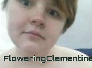 FloweringClementine