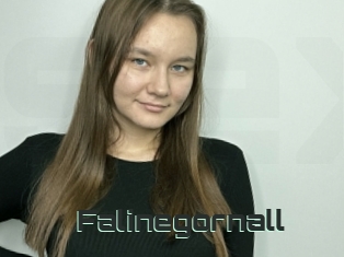 Falinegornall